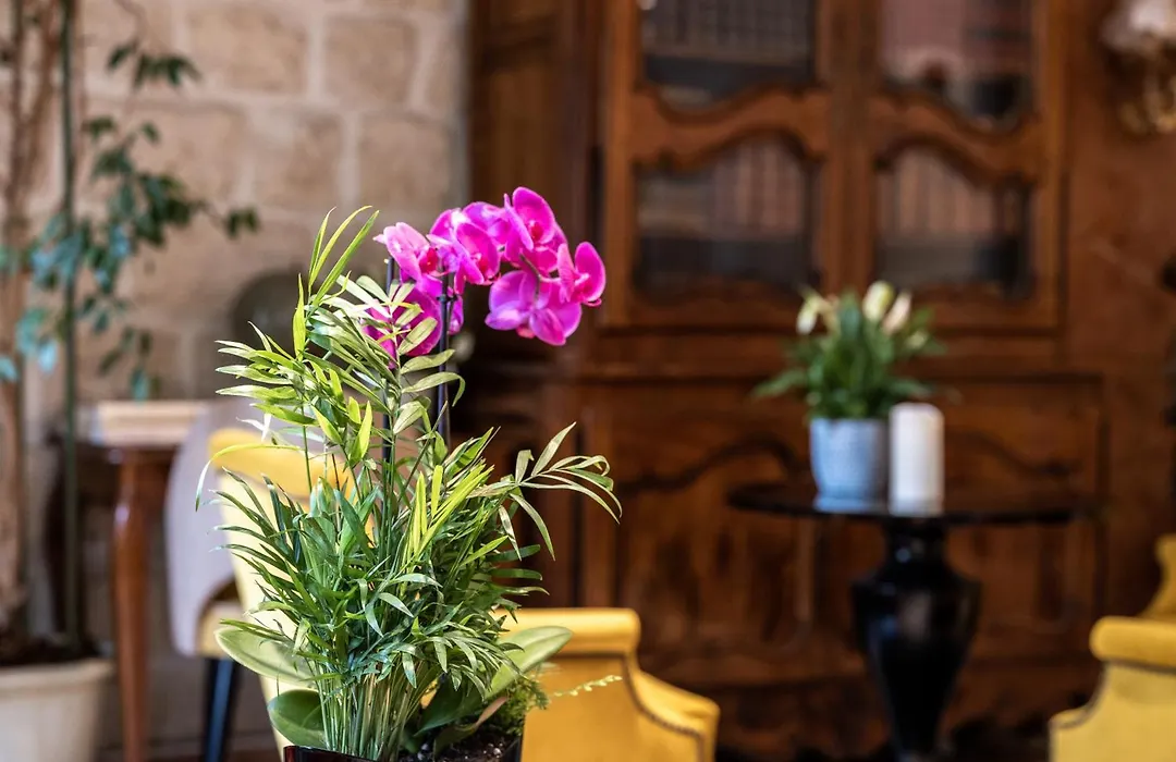 Hotel Minerve-1